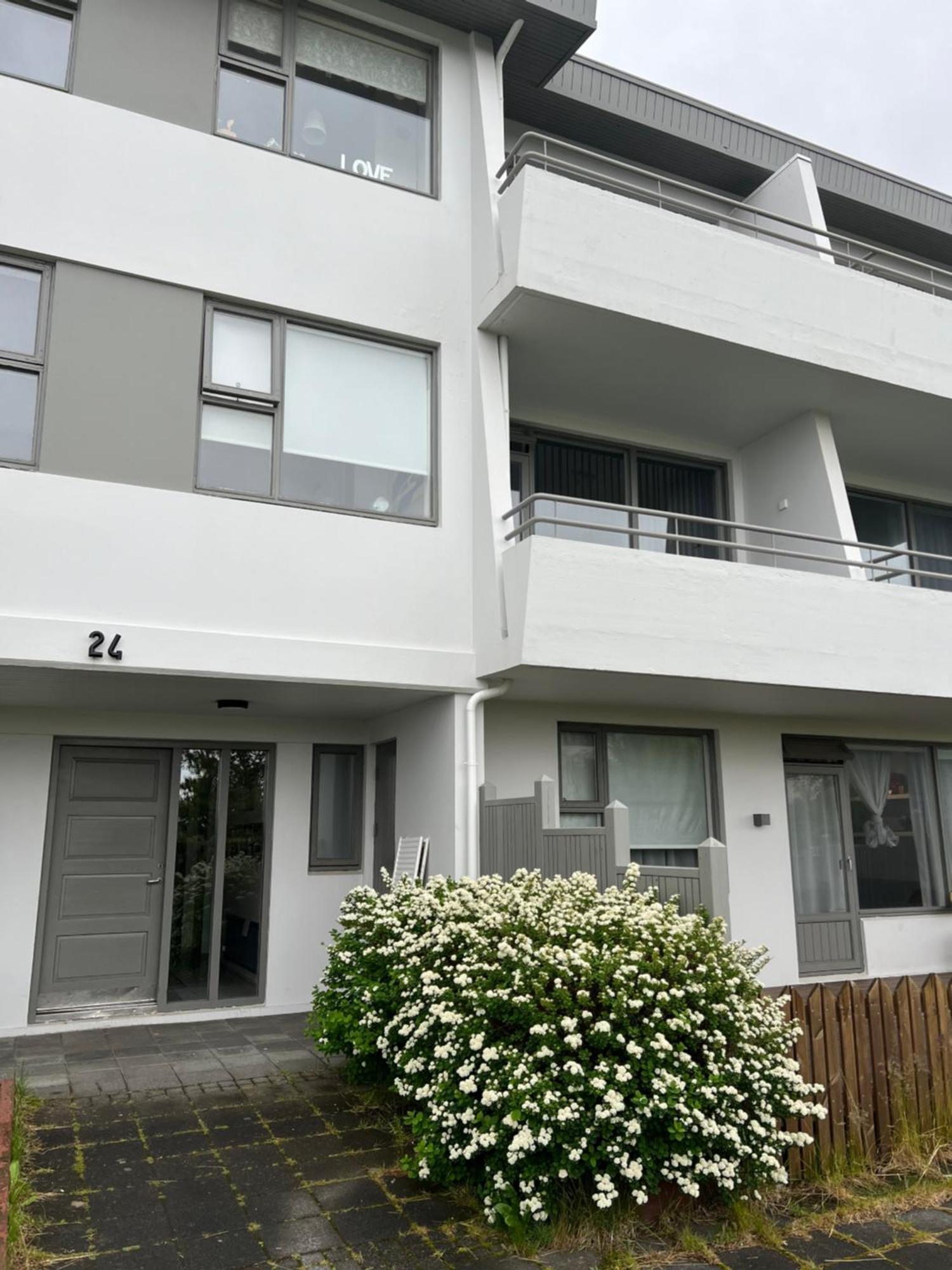 Viggsson Apartment Reikiavik Exterior foto